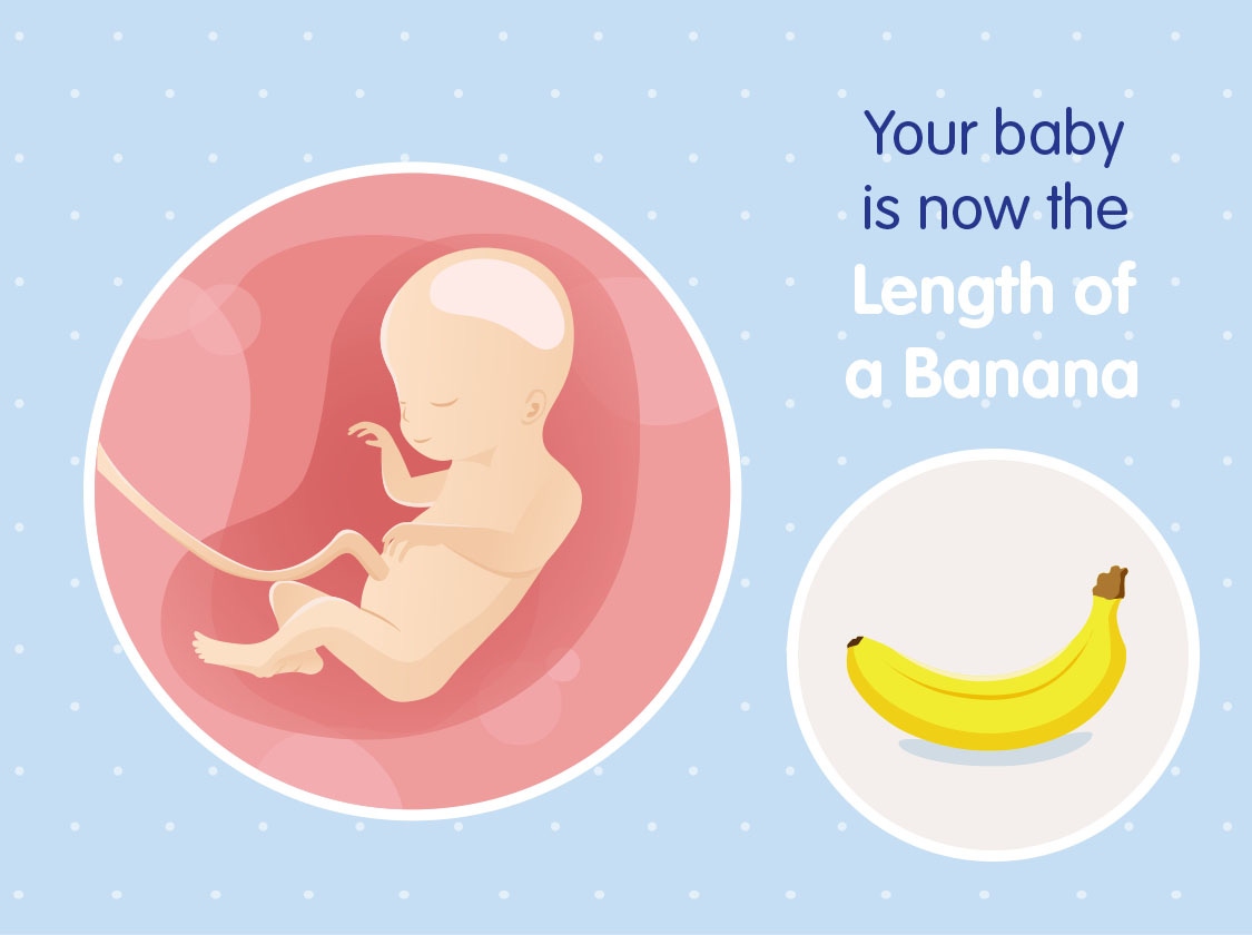 Small baby at 20 sales weeks