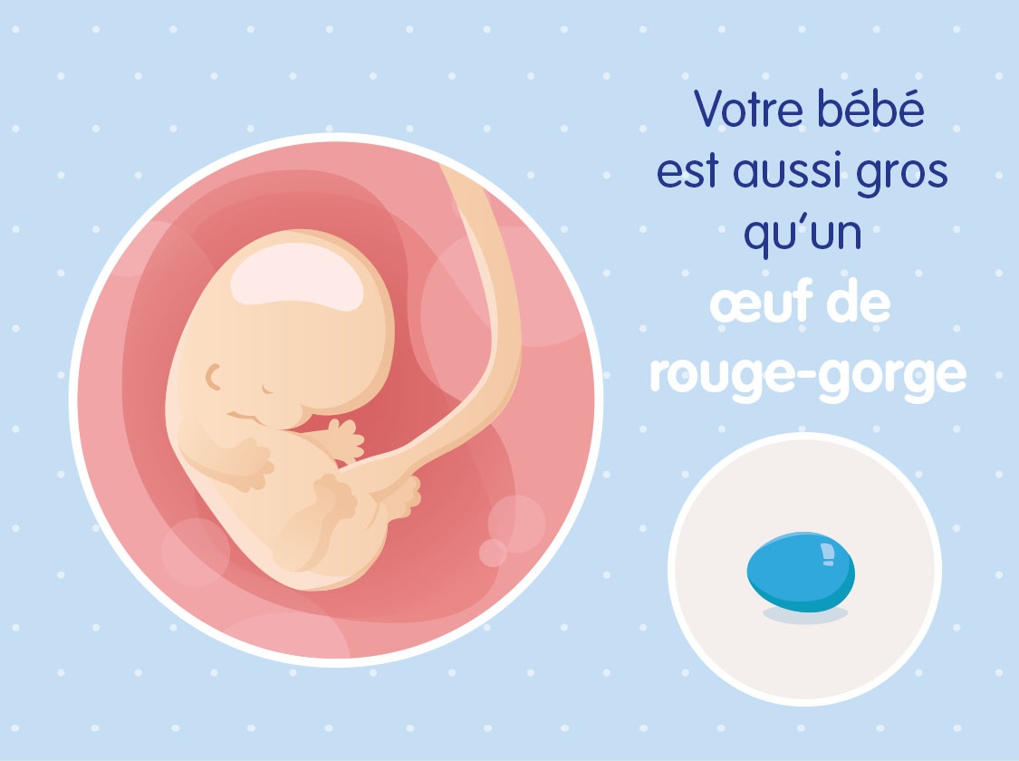 Une app de grossesse pour écouter les battements de coeur de votre bébé!
