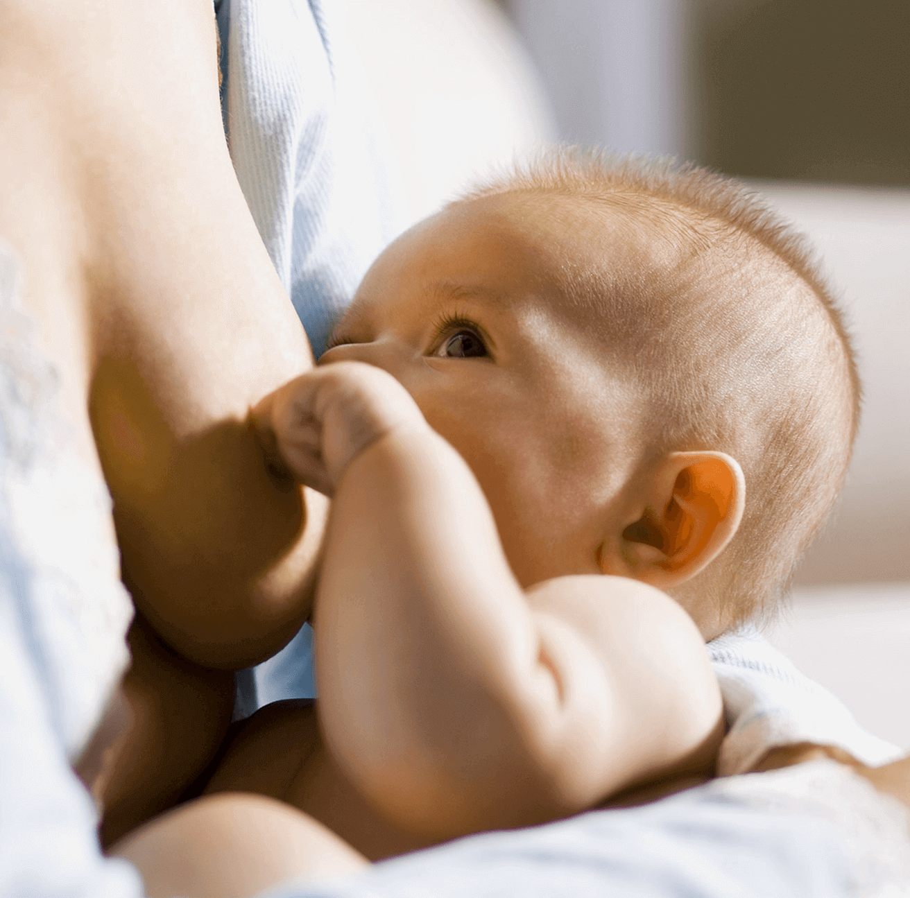 L'alimentation du bébé de 6 mois - May app