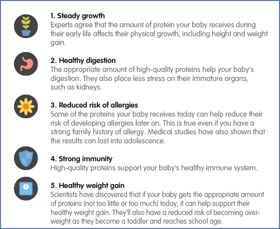 5 reasons why your baby needs the right amount of high-quality proteins