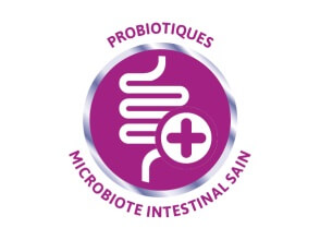 Probiotique B. lactis