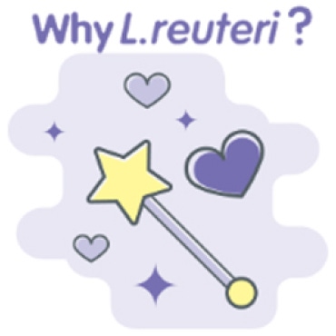 Why L.reutery?