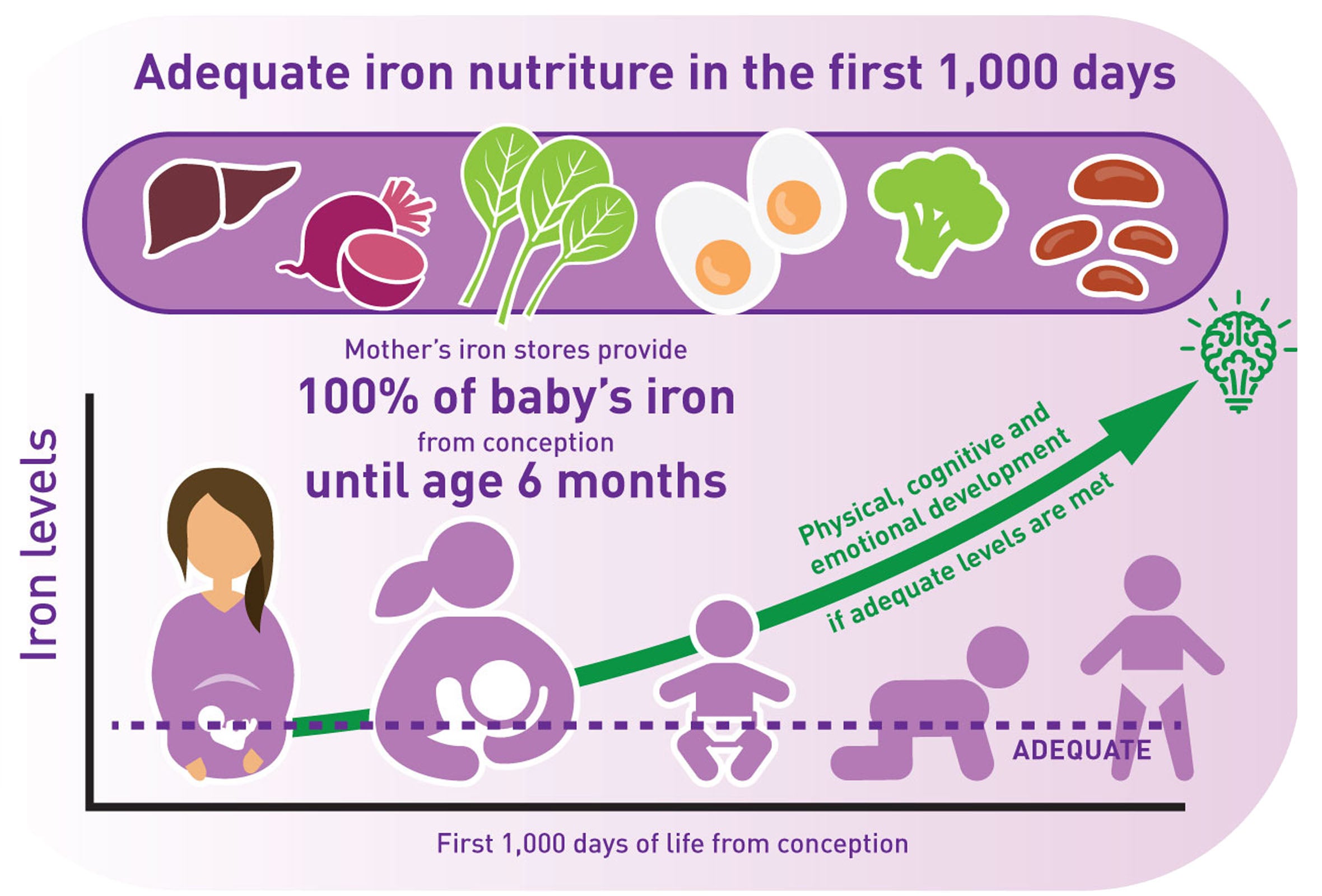 Introducing solids to your baby step by step guide to first food