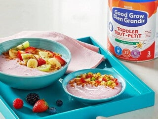 Bol de yogourt avec baies et fruits