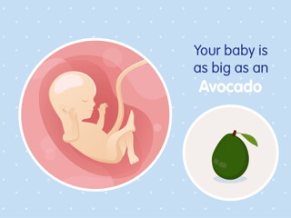 pregnancy week16 temporary pregnancy week16 temporary