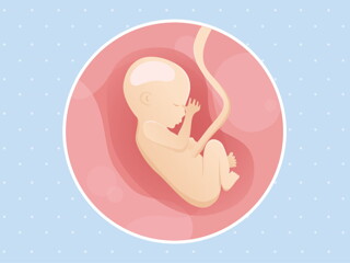 pregnancy week17 temporary pregnancy week17 temporary