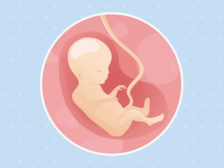 pregnancy week18 temporary pregnancy week18 temporary