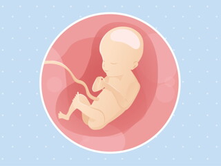 pregnancy week21 temporary pregnancy week21 temporary