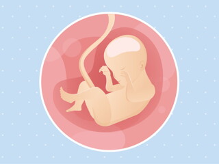 pregnancy week24 temporary pregnancy week24 temporary