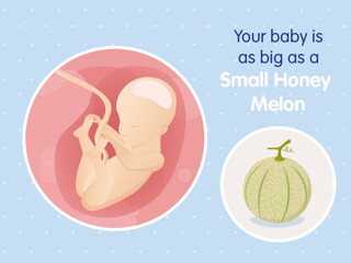 pregnancy week25 temporary pregnancy week25 temporary