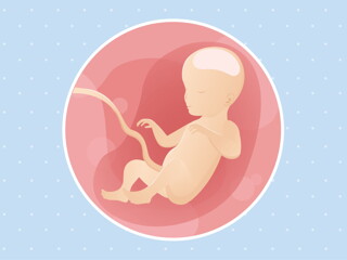 pregnancy week26 temporary pregnancy week26 temporary