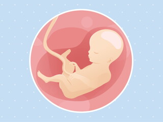 pregnancy week27 temporary pregnancy week27 temporary