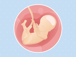 pregnancy week28 temporary pregnancy week28 temporary