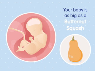 pregnancy week29 temporary pregnancy week29 temporary