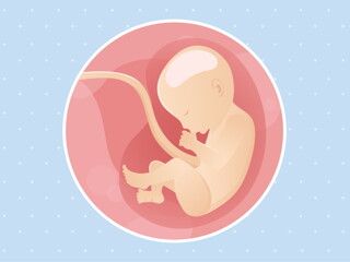 pregnancy week30 temporary pregnancy week30 temporary