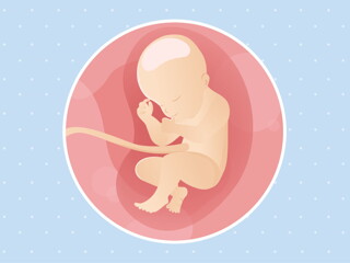 pregnancy week31 temporary pregnancy week31 temporary