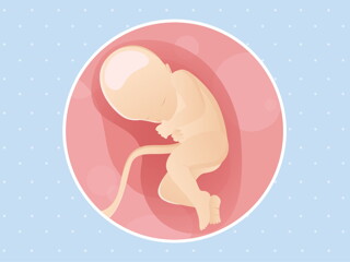 pregnancy week32 temporary pregnancy week32 temporary