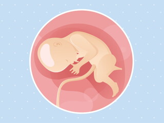pregnancy week33 temporary pregnancy week33 temporary