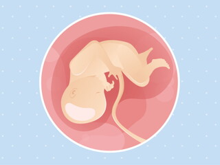 pregnancy week34 temporary pregnancy week34 temporary