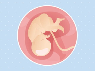 pregnancy week35 temporary pregnancy week35 temporary