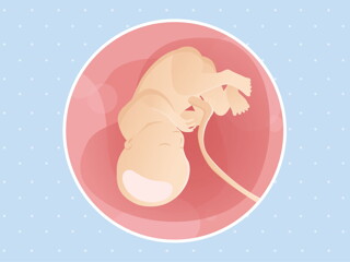 pregnancy week36 temporary pregnancy week36 temporary