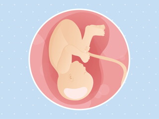 pregnancy week38 temporary pregnancy week38 temporary