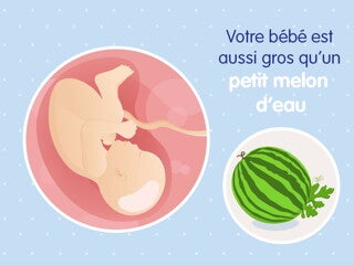pregnancy-belly-fetal-development-week-39fr pregnancy-belly-fetal-development-week-39fr