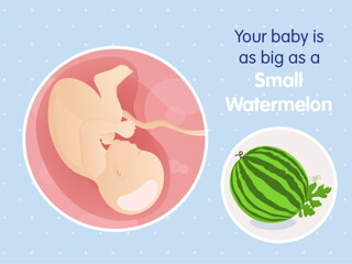 pregnancy week39 temporary pregnancy week39 temporary