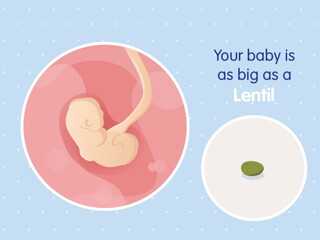 pregnancy week4 temporary pregnancy week4 temporary