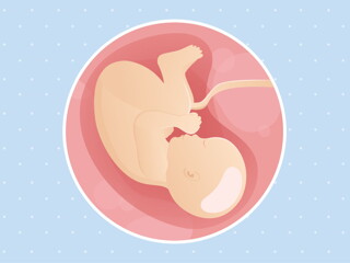 pregnancy week40 temporary pregnancy week40 temporary