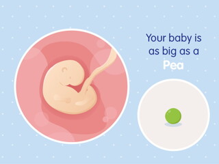pregnancy week5 temporary pregnancy week5 temporary
