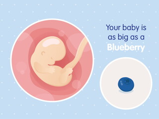 pregnancy week7 temporary pregnancy week7 temporary