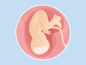 pregnancy week37 temporary