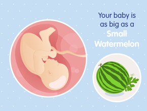 pregnancy week39 temporary
