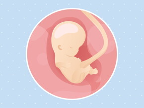 pregnancy week9 temporary pregnancy week9 temporary