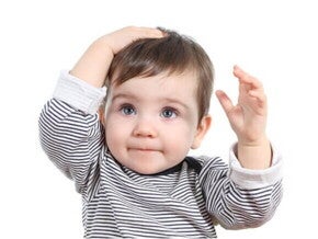 Toddler Foods