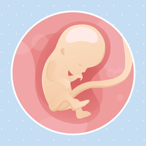 pregnancy week12 temporary