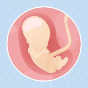 pregnancy week13 temporary