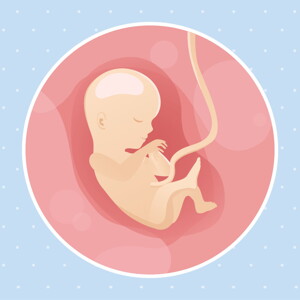 pregnancy week15 temporary
