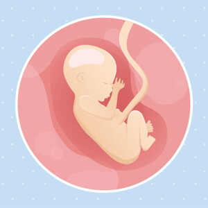 pregnancy week17 temporary