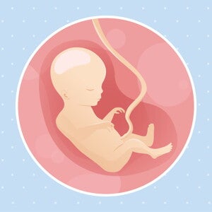 pregnancy week18 temporary