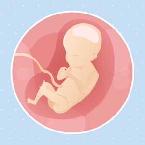 pregnancy week21 temporary