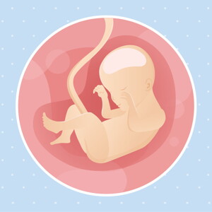 pregnancy week24 temporary
