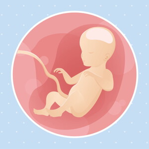 pregnancy week26 temporary