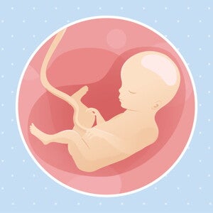 pregnancy week27 temporary