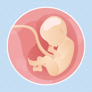 pregnancy week30 temporary