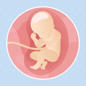 pregnancy week31 temporary