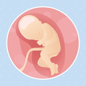 pregnancy week32 temporary