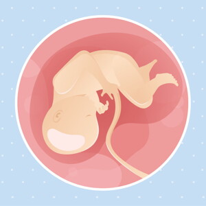 pregnancy week34 temporary