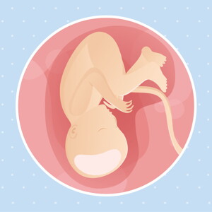 pregnancy week37 temporary
